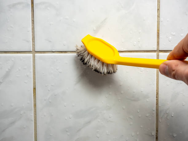 Best Preventive Mold Services in Ridgely, MD